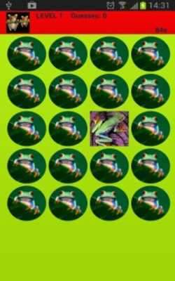 Emulate Android APK Colorful Frogs Memory Game