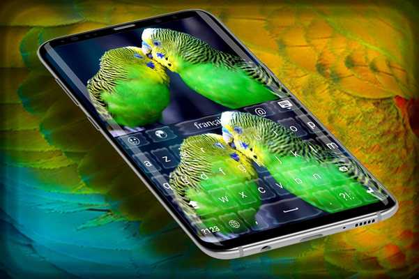 Emulate Android APK Colorful Parrot love Keyboard theme