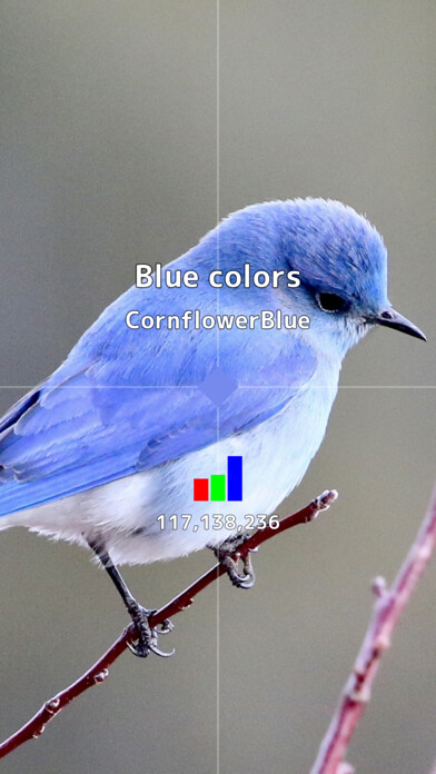 Run android online APK Color Judgment Camera from MyAndroid or emulate Color Judgment Camera using MyAndroid Run android online APK Color Judgment Camera from MyAndroid or emulate Color Judgment Camera using MyAndroid