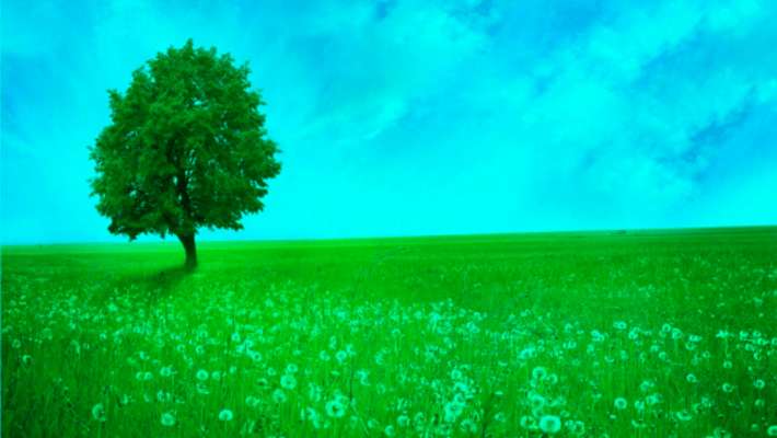 Emulate Android APK Color Photo Effect Emulate Android APK Color Photo Effect