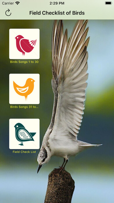 Emulate iPhone app Common Birds Songs using MyAndroid