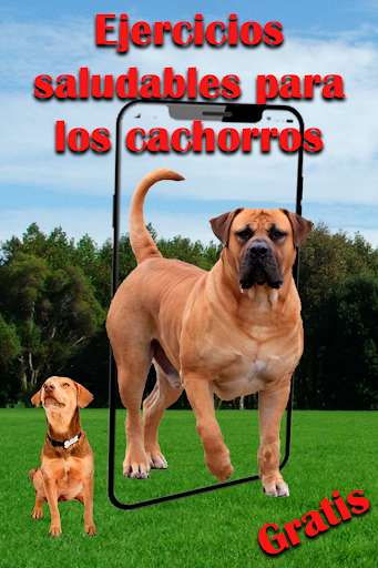 Run android online APK Como Adiestrar a un Perro - Educar a un Perro from MyAndroid or emulate Como Adiestrar a un Perro - Educar a un Perro using MyAndroid