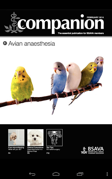 Run android online APK companion - for BSAVA Members from MyAndroid or emulate companion - for BSAVA Members using MyAndroid Run android online APK companion - for BSAVA Members from MyAndroid or emulate companion - for BSAVA Members using MyAndroid