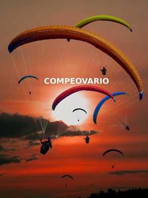 Emulate Android APK CompeoVario