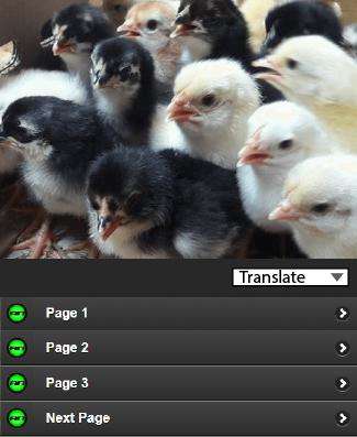 Run android online APK Complete Chicken Cultivation JOPER from MyAndroid or emulate Complete Chicken Cultivation JOPER using MyAndroid Run android online APK Complete Chicken Cultivation JOPER from MyAndroid or emulate Complete Chicken Cultivation JOPER using MyAndroid