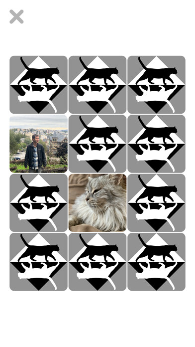 Emulate iPhone app Concentration Cat using MyAndroid