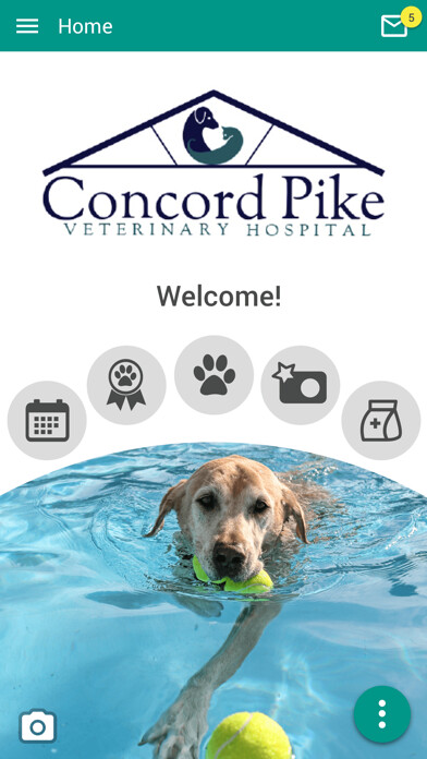 Emulate iPhone app Concord Pike Vet Hospital using MyAndroid
