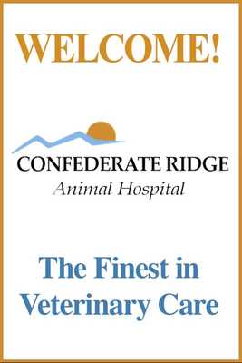 Emulate Android APK Confederate Ridge AH