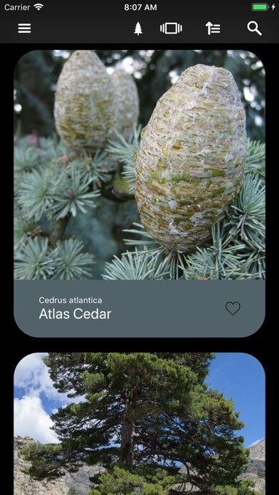 Emulate iPhone app Conifers using MyAndroid Emulate iPhone app Conifers using MyAndroid