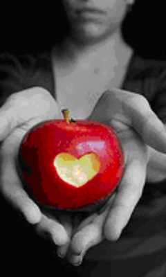 Emulate Android APK Conjuros y hechizos de amor Emulate Android APK Conjuros y hechizos de amor