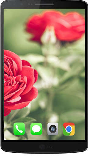 Run android online APK Contemporary Red Rose Walpaper HD from MyAndroid or emulate Contemporary Red Rose Walpaper HD using MyAndroid
