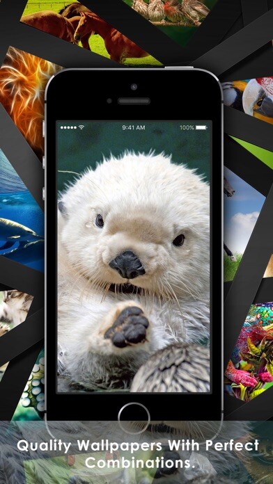 Emulate iPhone app Cool Animals HD Awesome Themes & Wallpapers using MyAndroid