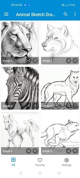 Run android online APK Cool Animal Sketch Drawing from MyAndroid or emulate Cool Animal Sketch Drawing using MyAndroid