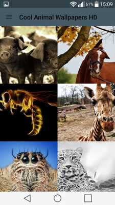 Emulate Android APK Cool Animal Wallpapers