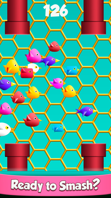 Emulate iPhone app Cool Birds Game - Fun Smash using MyAndroid