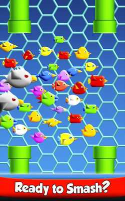 Emulate Android APK Cool Birds Game Emulate Android APK Cool Birds Game