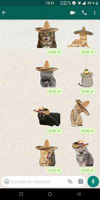 Emulate Android APK Cool Cats Stickers for WhatsApp (WAStickerApps) Emulate Android APK Cool Cats Stickers for WhatsApp (WAStickerApps)