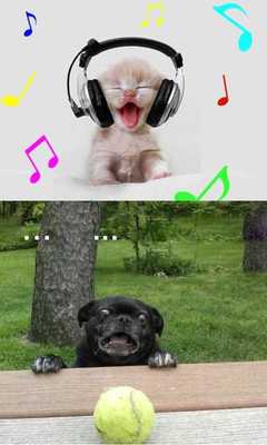 Emulate Android APK CoolPix