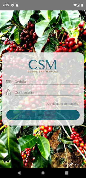 Run android online APK Coope San Marcos from MyAndroid or emulate Coope San Marcos using MyAndroid Run android online APK Coope San Marcos from MyAndroid or emulate Coope San Marcos using MyAndroid
