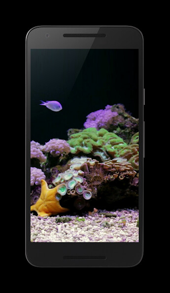 Emulate Android APK Coral Reef Aquarium Video FREE Emulate Android APK Coral Reef Aquarium Video FREE