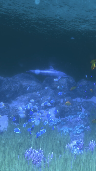 Emulate iPhone app Coral Reef HD using MyAndroid Emulate iPhone app Coral Reef HD using MyAndroid