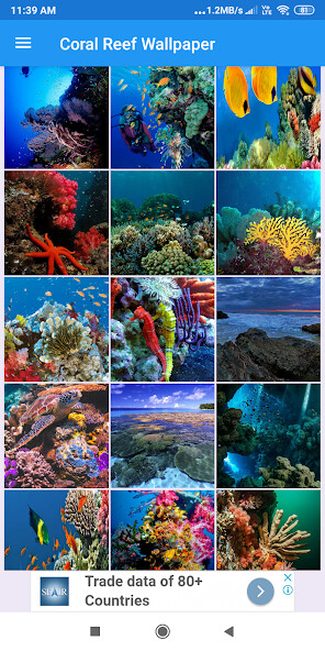 Run android online APK Coral Reef HD Wallpapers from MyAndroid or emulate Coral Reef HD Wallpapers using MyAndroid
