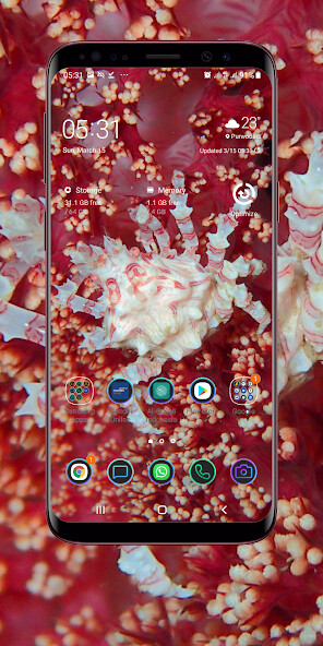 Emulate Android APK Coral Reef Wallpaper Emulate Android APK Coral Reef Wallpaper