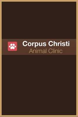Emulate Android APK Corpus Christi Vet