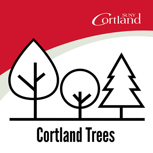 Run android online APK Cortland Trees from MyAndroid or emulate Cortland Trees using MyAndroid Run android online APK Cortland Trees from MyAndroid or emulate Cortland Trees using MyAndroid