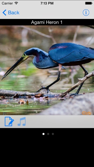 Emulate iPhone app Costa Rica Birds using MyAndroid Emulate iPhone app Costa Rica Birds using MyAndroid