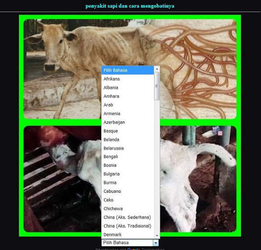 Run android online APK cow disease and how to treat it from MyAndroid or emulate cow disease and how to treat it using MyAndroid