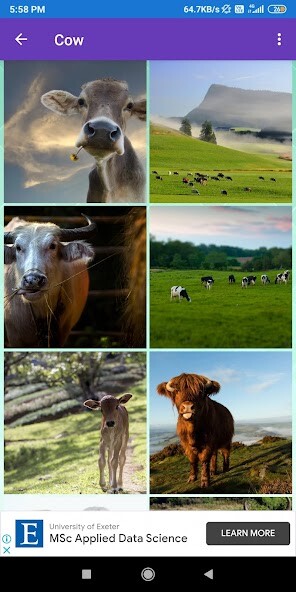 Run android online APK Cow, Goat Wallpapers from MyAndroid or emulate Cow, Goat Wallpapers using MyAndroid Run android online APK Cow, Goat Wallpapers from MyAndroid or emulate Cow, Goat Wallpapers using MyAndroid