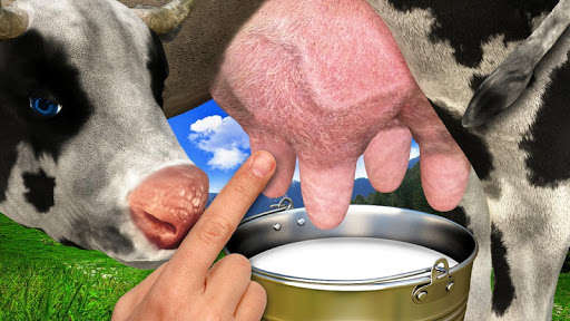 Emulate Android APK Cow milking Emulate Android APK Cow milking