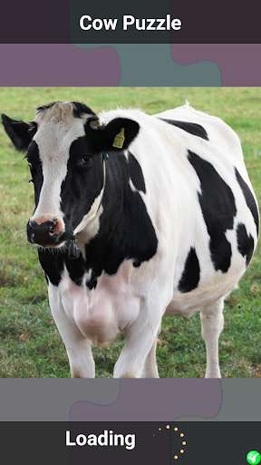 Run android online APK Cow Puzzle from MyAndroid or emulate Cow Puzzle using MyAndroid