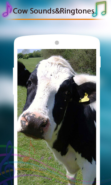 Run android online APK Cow Sounds and Ringtones from MyAndroid or emulate Cow Sounds and Ringtones using MyAndroid