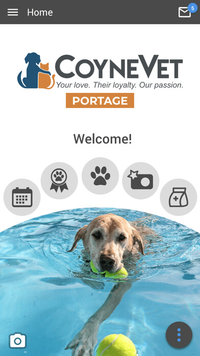 Emulate Android APK Coyne Vet Portage