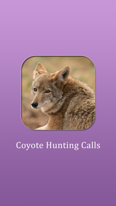 Run android online APK Coyote Hunting Calls from MyAndroid or emulate Coyote Hunting Calls using MyAndroid Run android online APK Coyote Hunting Calls from MyAndroid or emulate Coyote Hunting Calls using MyAndroid