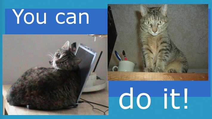 Emulate Android APK CPA Study App