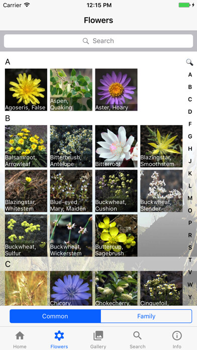 Emulate iPhone app Craters of the Moon - Flowers using MyAndroid Emulate iPhone app Craters of the Moon - Flowers using MyAndroid
