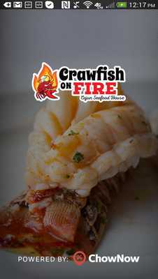 Emulate Android APK Crawfish on Fire Emulate Android APK Crawfish on Fire