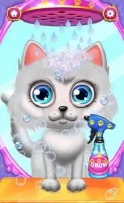 Emulate Android APK Crazy Hair Salon Cat Makeover Emulate Android APK Crazy Hair Salon Cat Makeover