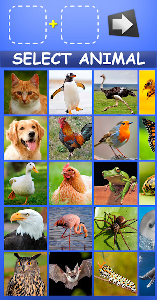 Run android online APK Crazy Hybrid Animals Morphing from MyAndroid or emulate Crazy Hybrid Animals Morphing using MyAndroid