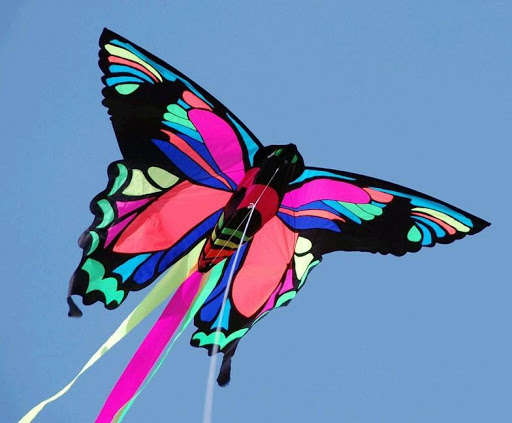 Run android online APK Creative Kite Designs from MyAndroid or emulate Creative Kite Designs using MyAndroid