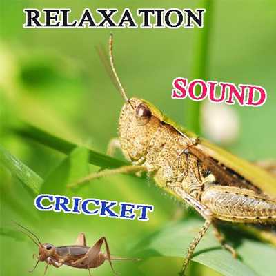Emulate Android APK Cricket nature sounds