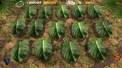 Emulate Android APK Critter Match Emulate Android APK Critter Match