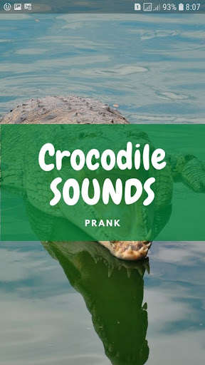 Run android online APK Crocodile Sounds and Wallpapers from MyAndroid or emulate Crocodile Sounds and Wallpapers using MyAndroid