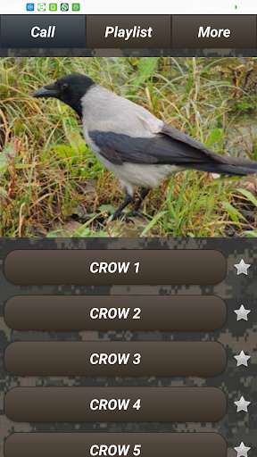 Emulate Android APK Crow Calls