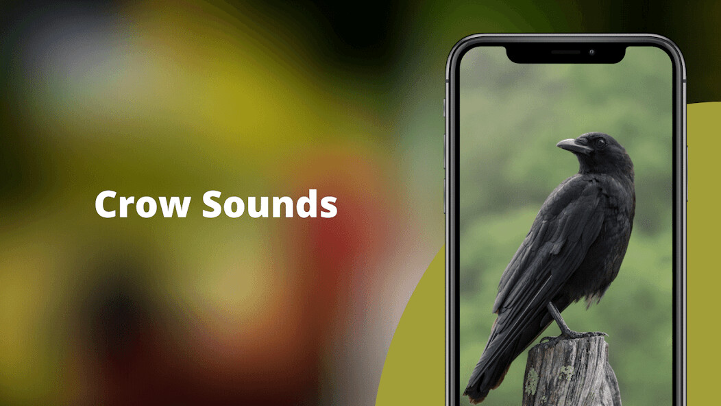 Run android online APK Crow Sounds -Calls Ringtones from MyAndroid or emulate Crow Sounds -Calls Ringtones using MyAndroid Run android online APK Crow Sounds -Calls Ringtones from MyAndroid or emulate Crow Sounds -Calls Ringtones using MyAndroid