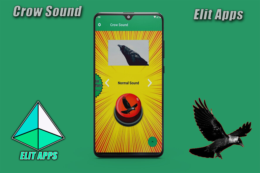 Run android online APK Crow Sound from MyAndroid or emulate Crow Sound using MyAndroid Run android online APK Crow Sound from MyAndroid or emulate Crow Sound using MyAndroid