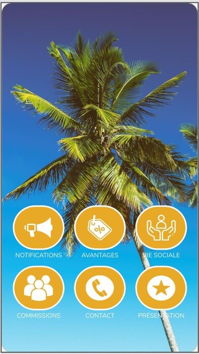 Emulate iPhone app CSE BRICORAMA FRANCE UES using MyAndroid